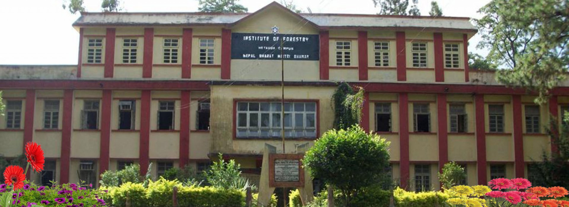 त्रिवि वन विज्ञान अध्ययन संस्थानले खुलायो स्नातकोत्तर तहको नियमित तथा पुनः परीक्षा आवेदन